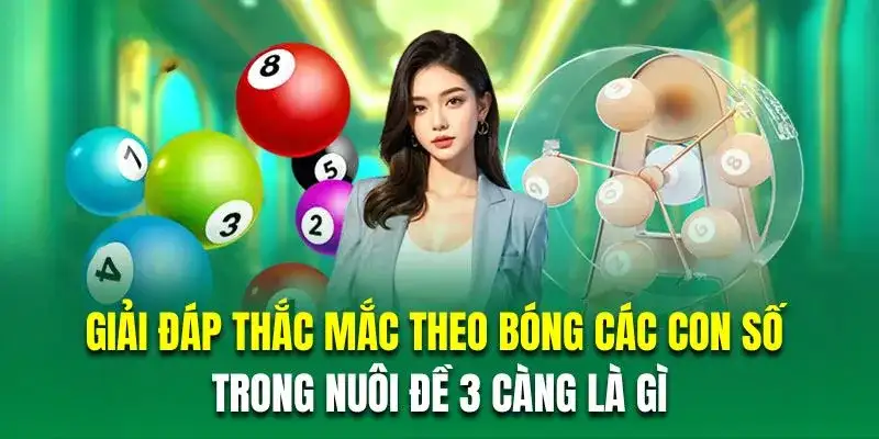 Giải đáp thắc mắc theo bóng các con số trong nuôi đề 3 càng là gì